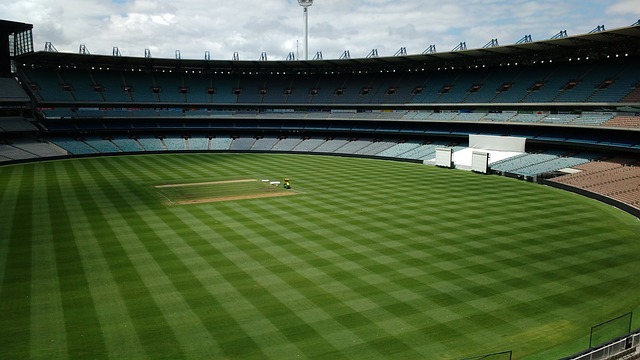 明星球员 明星球员