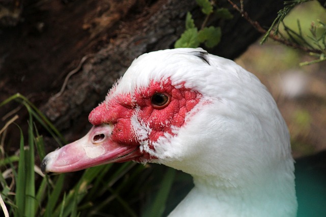 探讨这场对 探讨这场对