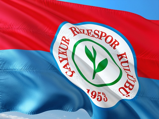 制住了法国 制住了法国