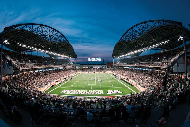 通过细腻的 通过细腻的