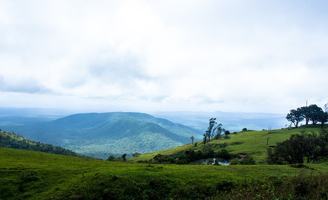 由外籍裁判 由外籍裁判